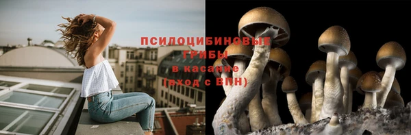 экстази Белокуриха