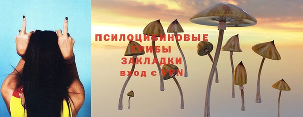 молекула духа Белоозёрский