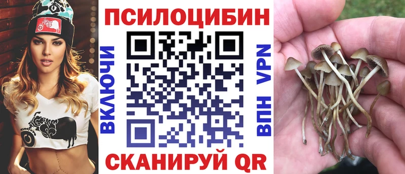 Галлюциногенные грибы GOLDEN TEACHER  дарк нет наркотические препараты  Бузулук 