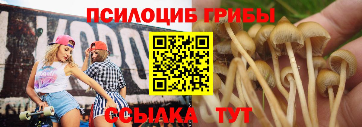Псилоцибиновые грибы MAGIC MUSHROOMS  закладка  Бузулук  Галлюциногенные грибы мицелий  Вход с VPN 